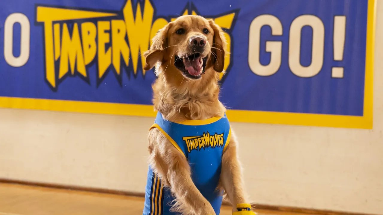 Original Air Bud Is Canonically Dead in Next Movie