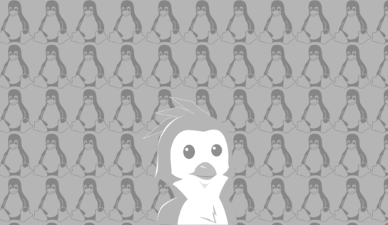 Steam Survey – June 2026 shows Linux dip to 3.69%
