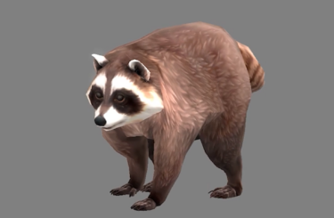 An ArenaNet developer’s spouse first discovered Jimothy the raccoon, so it’s only right that Guild Wars 2 adds him as a new pet for all classes