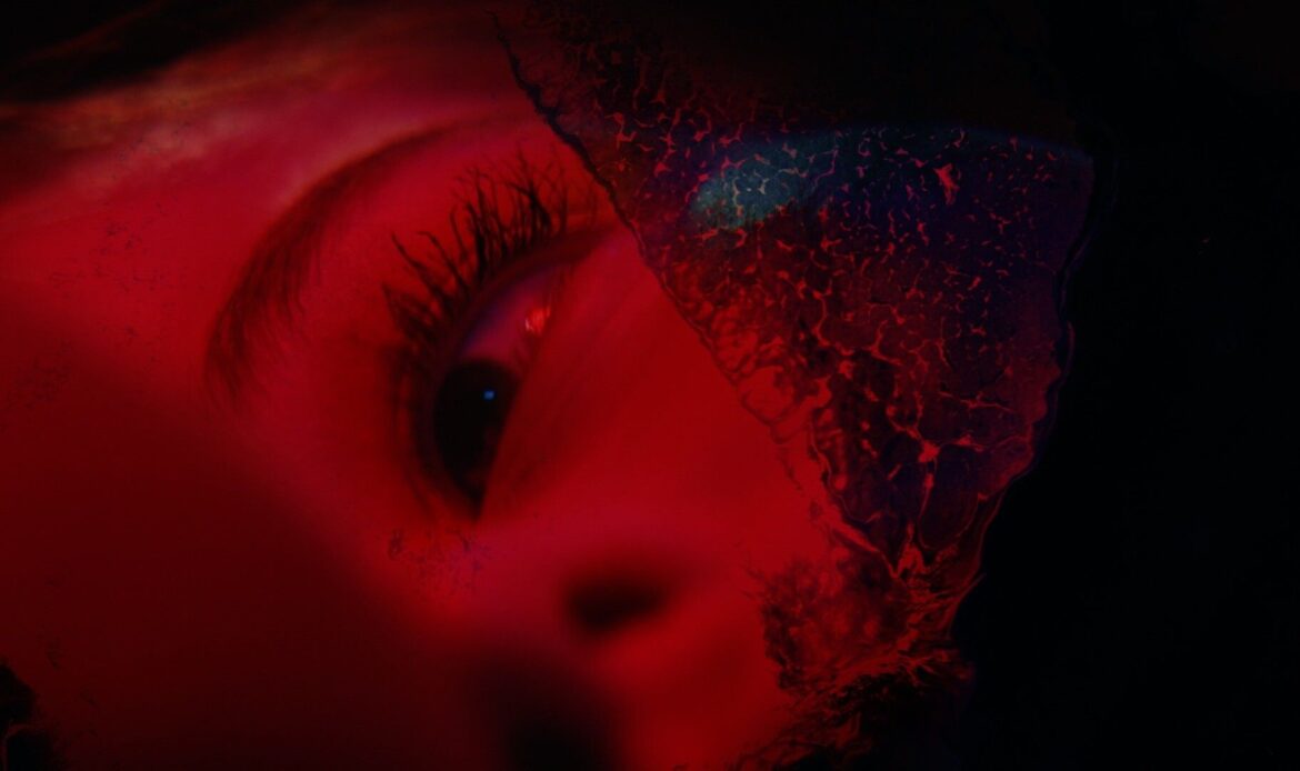 Immortality creator Sam Barlow reveals his next game: A ‘sci-fi horror’ collaboration with Brandon Cronenberg