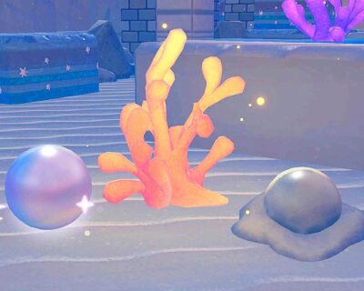 How to get Shiny Pearls in Pokopia