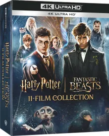 Harry Potter and Fantastic Beasts 11-Film Collection (4K Ultra HD)