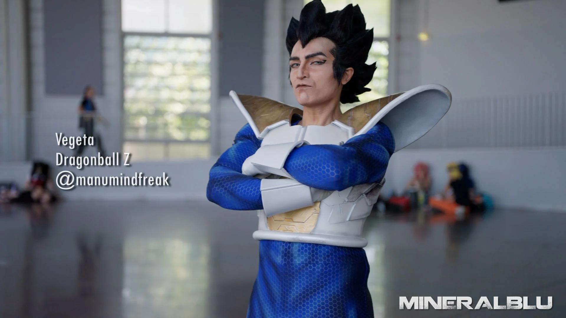 Vegeta Dbz
